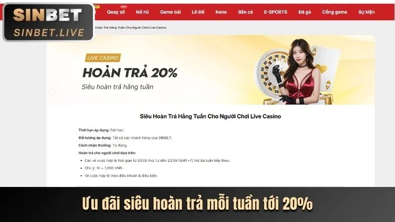 Các loại ev99 khuyến mãi đa dạng